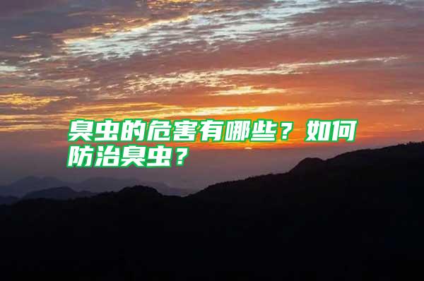 臭蟲的危害有哪些？如何防治臭蟲？