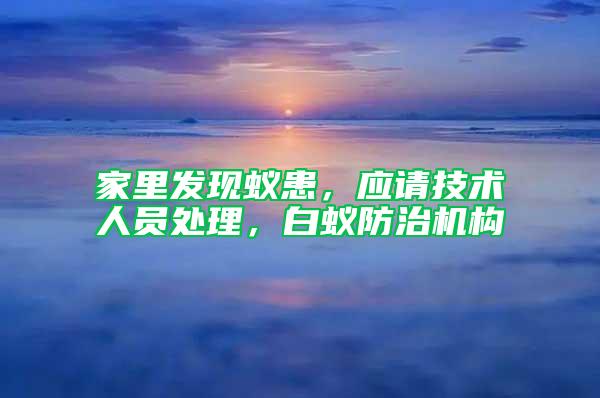 家里發現蟻患，應請技術人員處理，白蟻防治機構