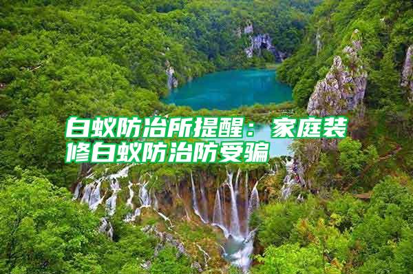 白蟻防冶所提醒：家庭裝修白蟻防治防受騙