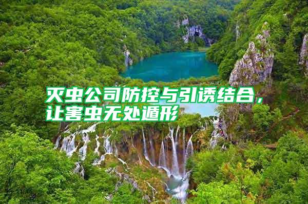 滅蟲(chóng)公司防控與引誘結(jié)合，讓害蟲(chóng)無(wú)處遁形
