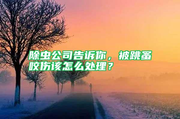 除蟲(chóng)公司告訴你，被跳蚤咬傷該怎么處理？