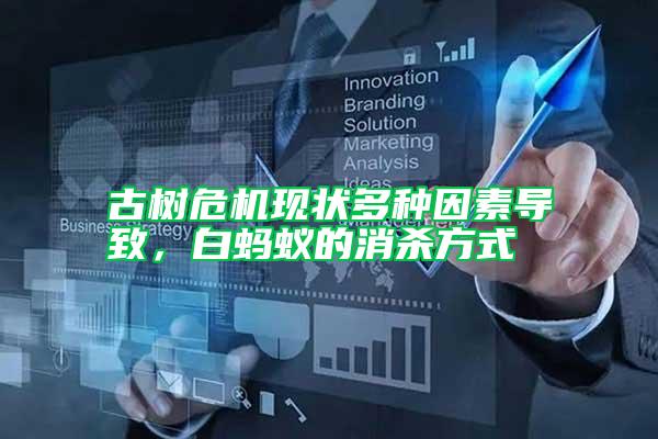 古樹危機現狀多種因素導致，白螞蟻的消殺方式