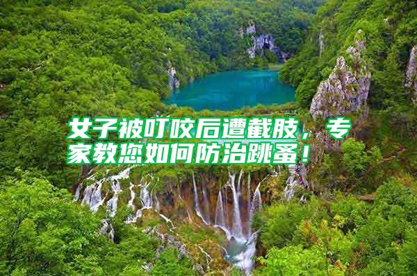 女子被叮咬后遭截肢，專家教您如何防治跳蚤！