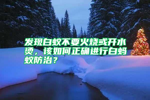 發現白蟻不要火燒或開水燙，該如何正確進行白螞蟻防治？