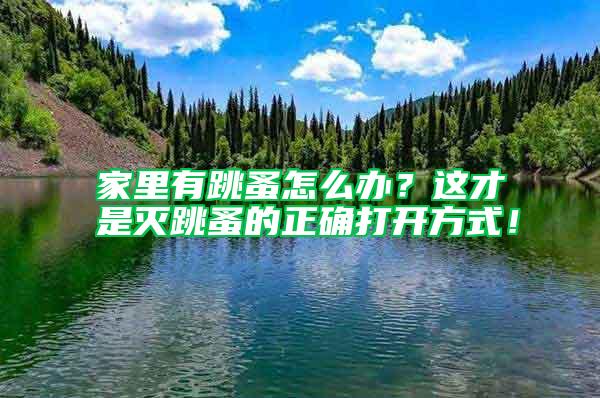 家里有跳蚤怎么辦？這才是滅跳蚤的正確打開方式！