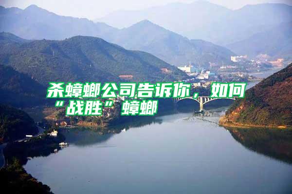 殺蟑螂公司告訴你，如何“戰勝”蟑螂