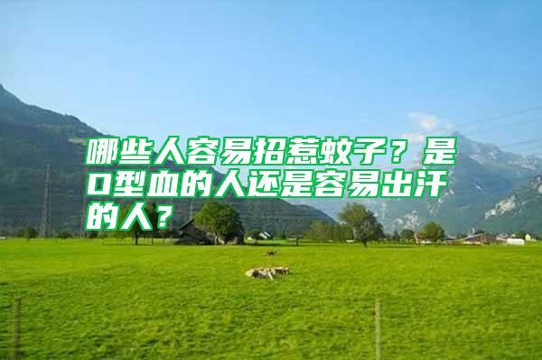 哪些人容易招惹蚊子？是O型血的人還是容易出汗的人？