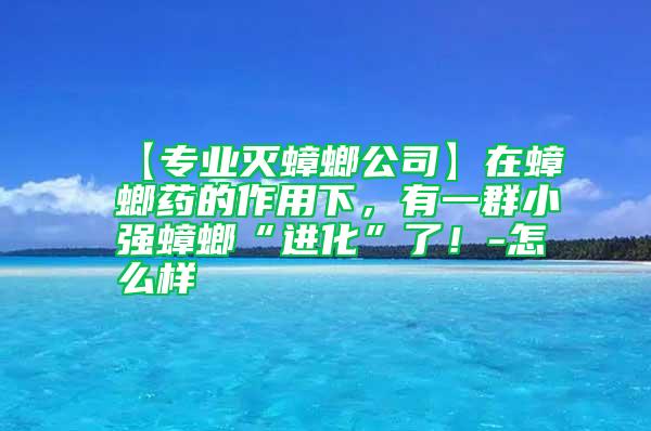 【專業(yè)滅蟑螂公司】在蟑螂藥的作用下，有一群小強(qiáng)蟑螂“進(jìn)化”了！-怎么樣