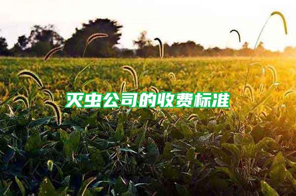 滅蟲公司的收費標(biāo)準(zhǔn)