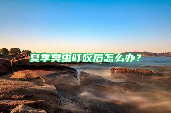 夏季臭蟲叮咬后怎么辦？