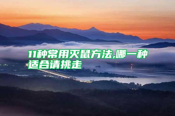 11種常用滅鼠方法,哪一種適合請(qǐng)?zhí)糇?/></p>
             <p style=