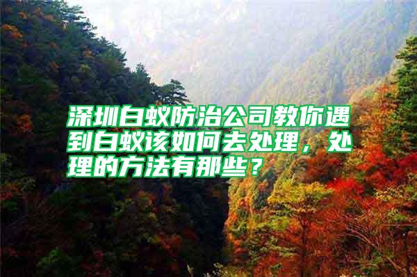 深圳白蟻防治公司教你遇到白蟻該如何去處理，處理的方法有那些？