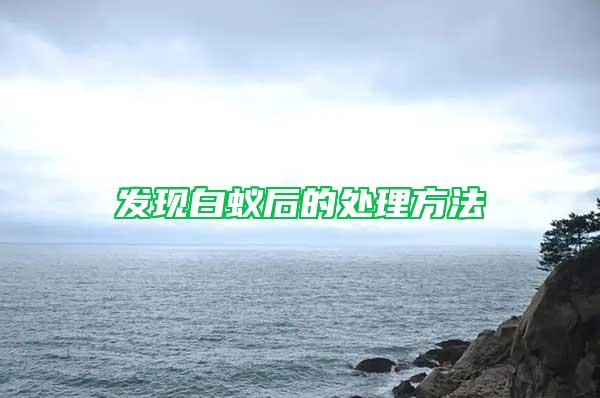 發現白蟻后的處理方法