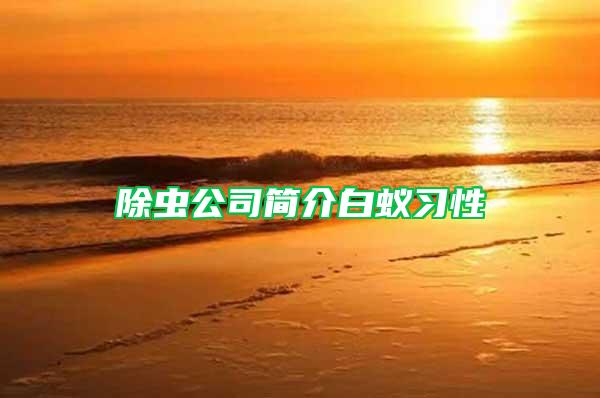 除蟲公司簡(jiǎn)介白蟻習(xí)性