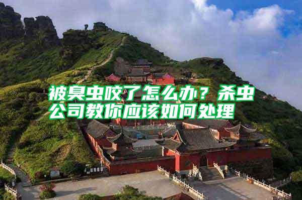 被臭蟲咬了怎么辦？殺蟲公司教你應該如何處理