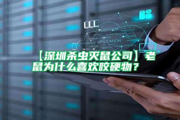 【深圳殺蟲滅鼠公司】老鼠為什么喜歡咬硬物？