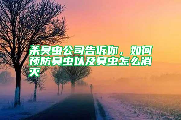 殺臭蟲(chóng)公司告訴你，如何預(yù)防臭蟲(chóng)以及臭蟲(chóng)怎么消滅