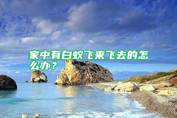 家中有白蟻飛來(lái)飛去的怎么辦？