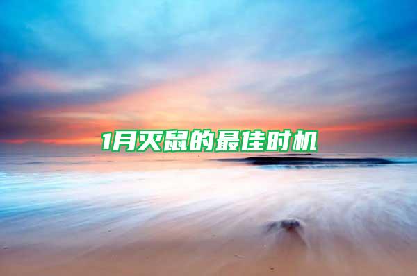 1月滅鼠的最佳時(shí)機(jī)