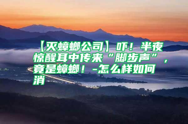 【滅蟑螂公司】嚇！半夜驚醒耳中傳來“腳步聲”，竟是蟑螂！-怎么樣如何消
