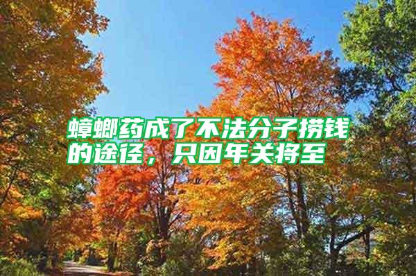 蟑螂藥成了不法分子撈錢的途徑，只因年關將至
