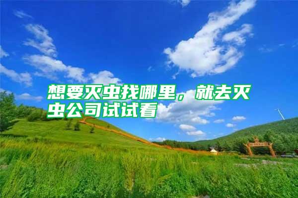 想要滅蟲找哪里，就去滅蟲公司試試看