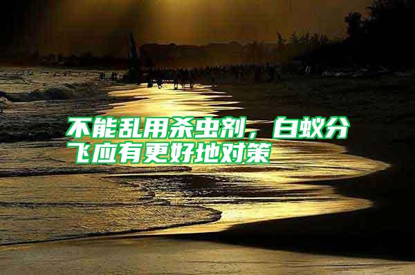 不能亂用殺蟲劑，白蟻分飛應有更好地對策