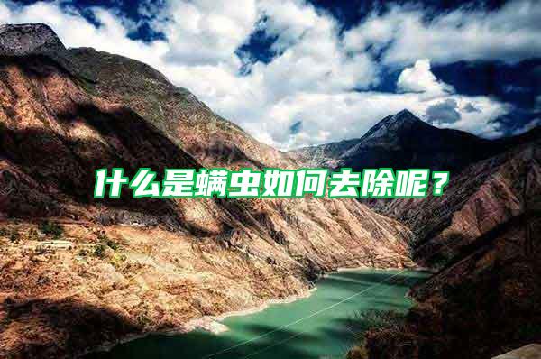 什么是螨蟲如何去除呢？