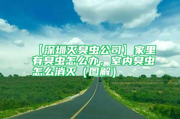 【深圳滅臭蟲公司】家里有臭蟲怎么辦，室內臭蟲怎么消滅（圖解）