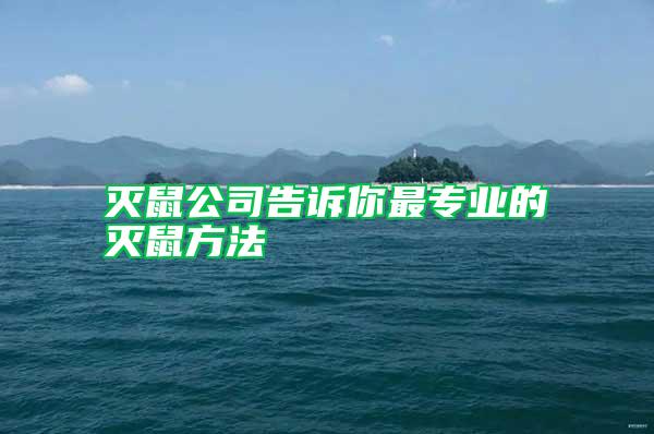 滅鼠公司告訴你最專業(yè)的滅鼠方法