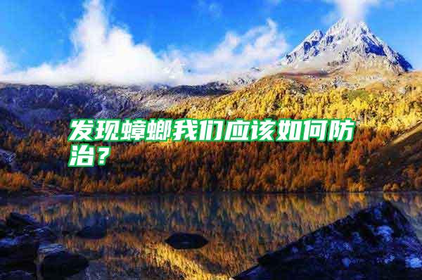 發(fā)現(xiàn)蟑螂我們應(yīng)該如何防治？