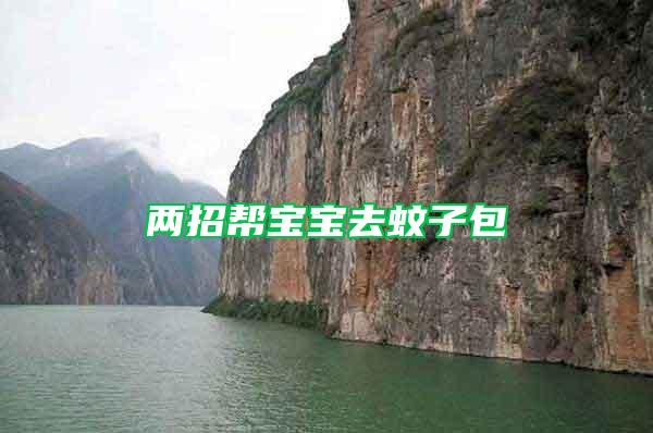 兩招幫寶寶去蚊子包
