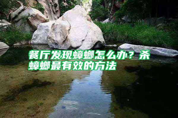 餐廳發(fā)現(xiàn)蟑螂怎么辦？殺蟑螂最有效的方法