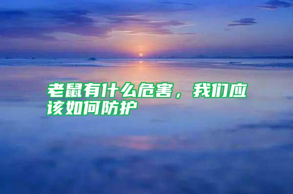 老鼠有什么危害，我們應該如何防護