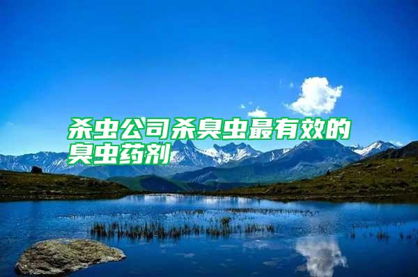 殺蟲(chóng)公司殺臭蟲(chóng)最有效的臭蟲(chóng)藥劑