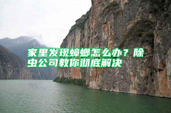 家里發現蟑螂怎么辦？除蟲公司教你徹底解決