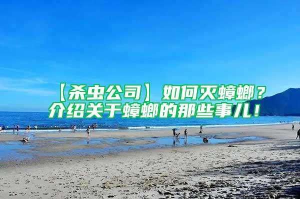 【殺蟲公司】如何滅蟑螂？介紹關(guān)于蟑螂的那些事兒！