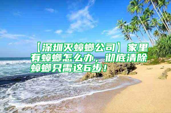【深圳滅蟑螂公司】家里有蟑螂怎么辦，徹底清除蟑螂只需這6步！