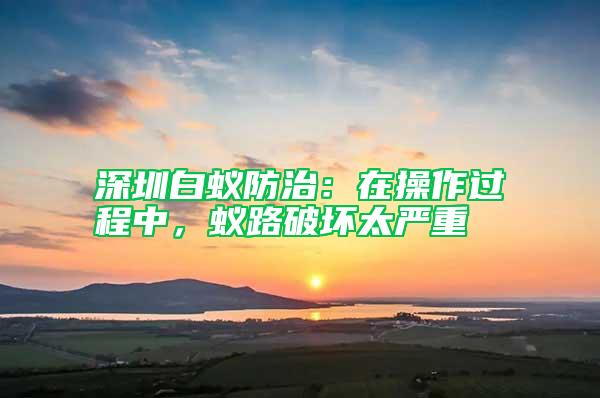 深圳白蟻防治：在操作過程中，蟻路破壞太嚴重