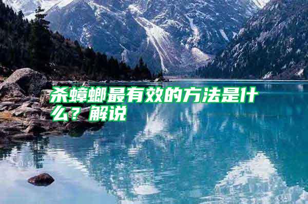 殺蟑螂最有效的方法是什么？解說
