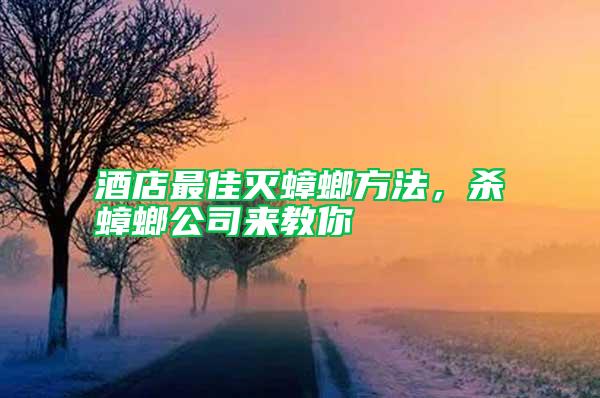 酒店最佳滅蟑螂方法，殺蟑螂公司來教你