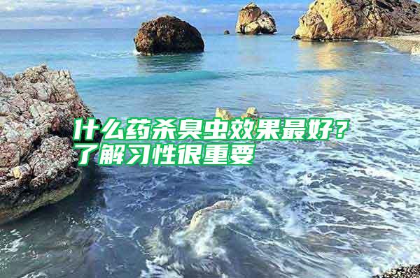 什么藥殺臭蟲(chóng)效果最好？了解習(xí)性很重要