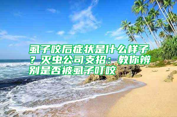 虱子咬后癥狀是什么樣子？滅蟲公司支招：教你辨別是否被虱子叮咬