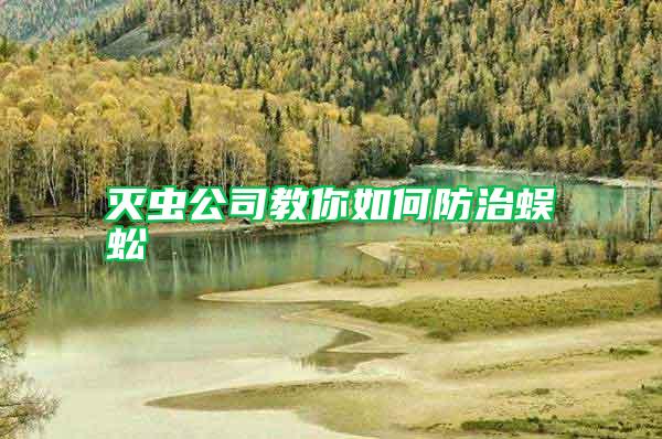 滅蟲(chóng)公司教你如何防治蜈蚣