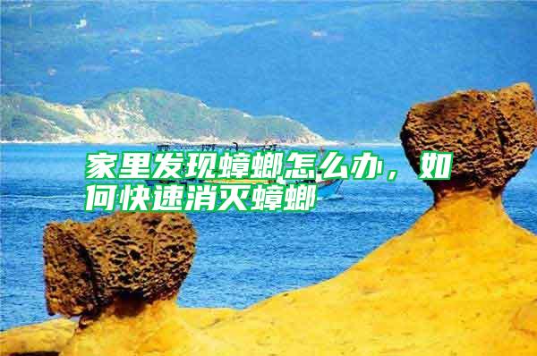 家里發現蟑螂怎么辦，如何快速消滅蟑螂