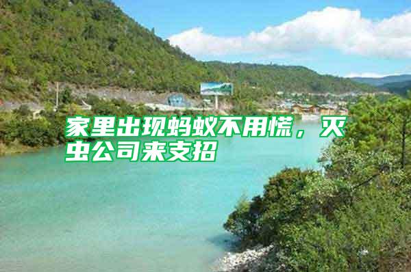 家里出現(xiàn)螞蟻不用慌，滅蟲公司來支招