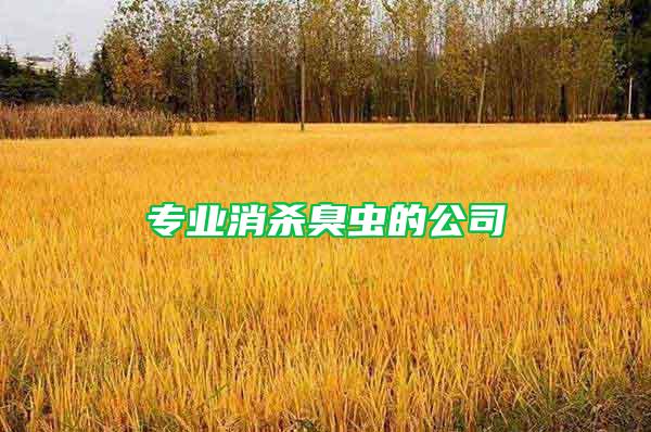 專業(yè)消殺臭蟲(chóng)的公司
