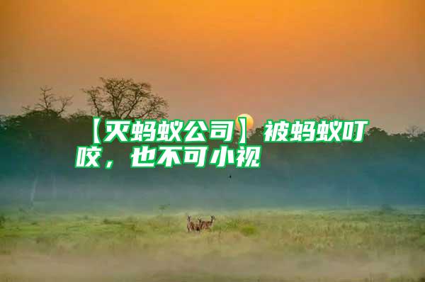 【滅螞蟻公司】被螞蟻叮咬，也不可小視