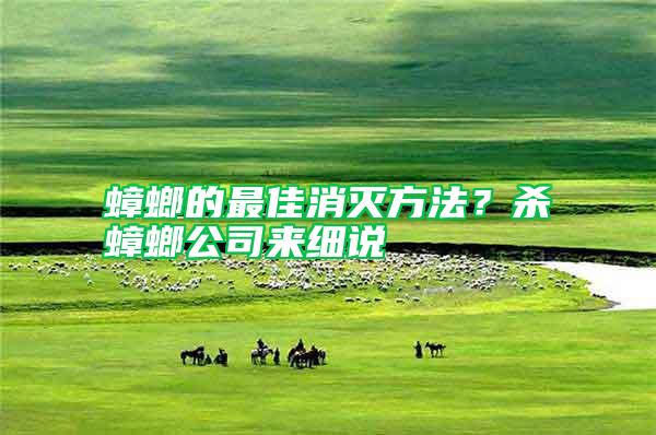 蟑螂的最佳消滅方法？殺蟑螂公司來細說