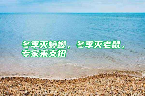 冬季滅蟑螂，冬季滅老鼠，專家來支招